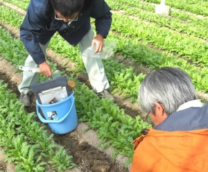 土壌炭素調査