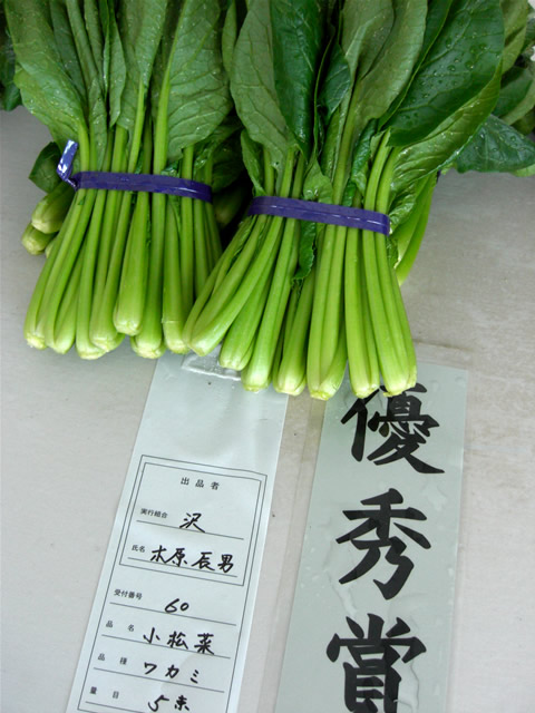 kihara9