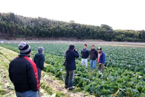 大阪産 生産者取材
