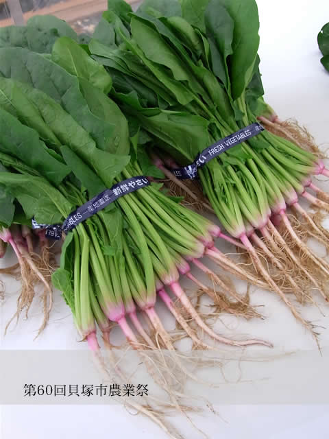 nouygousai2
