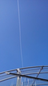 100330_0905~01.jpg