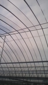 100812_1704~01.jpg