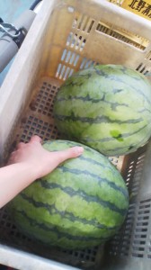 100813_1330~02.jpg