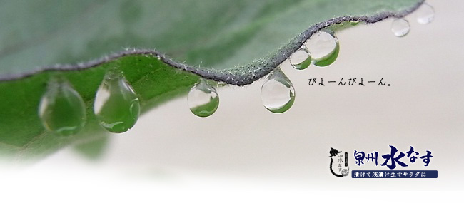 水なすの葉に付いた水