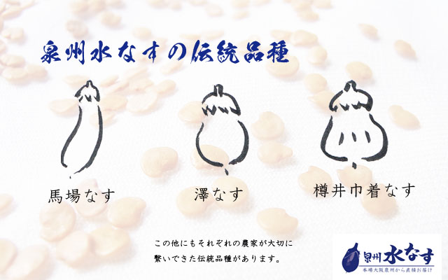 泉州水なすの伝統品種