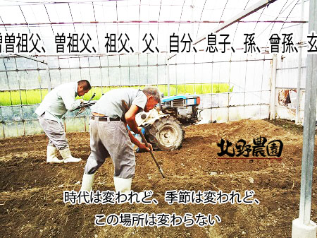 水なす片付け