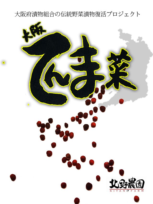 大阪天満菜