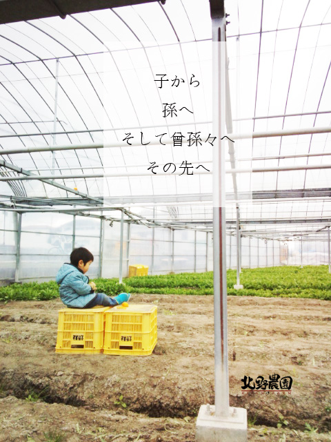 子々孫々