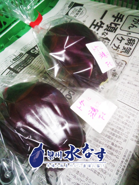 水ナス出荷
