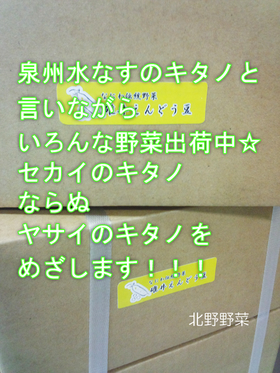 ヤサイのキタノ