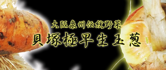 大阪泉州伝統野菜
