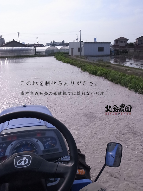 田植え準備2014