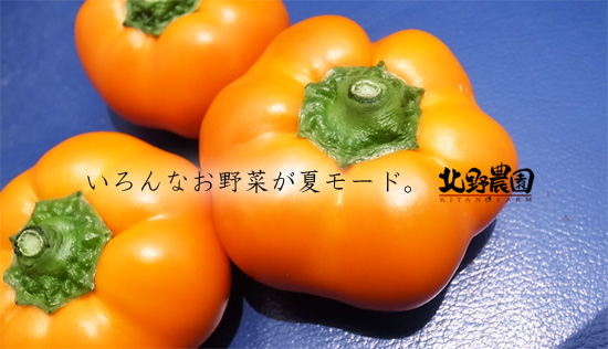 minipapurika