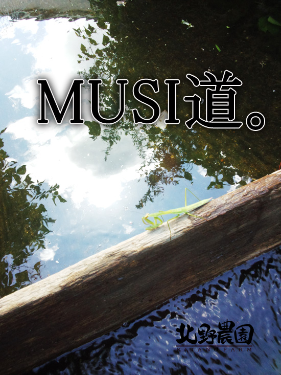 MUSI道