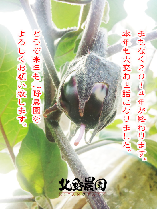 2014最後のブログ