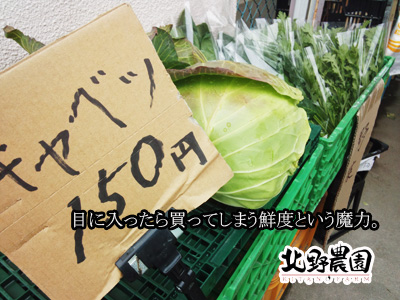 senndoー