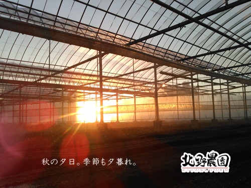 KIMG1997のコピー