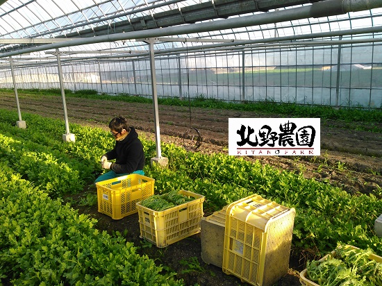 KIMG0515