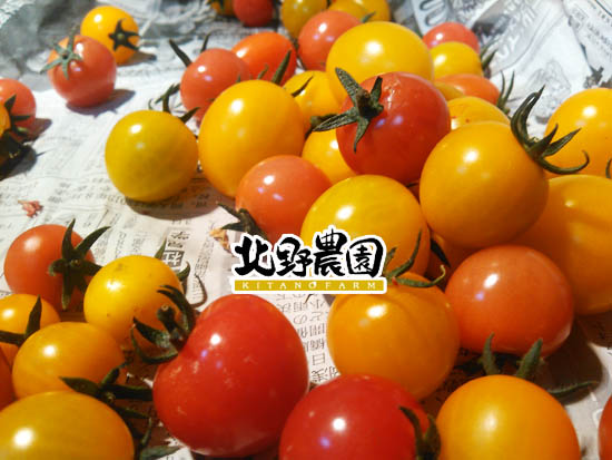 KIMG4339