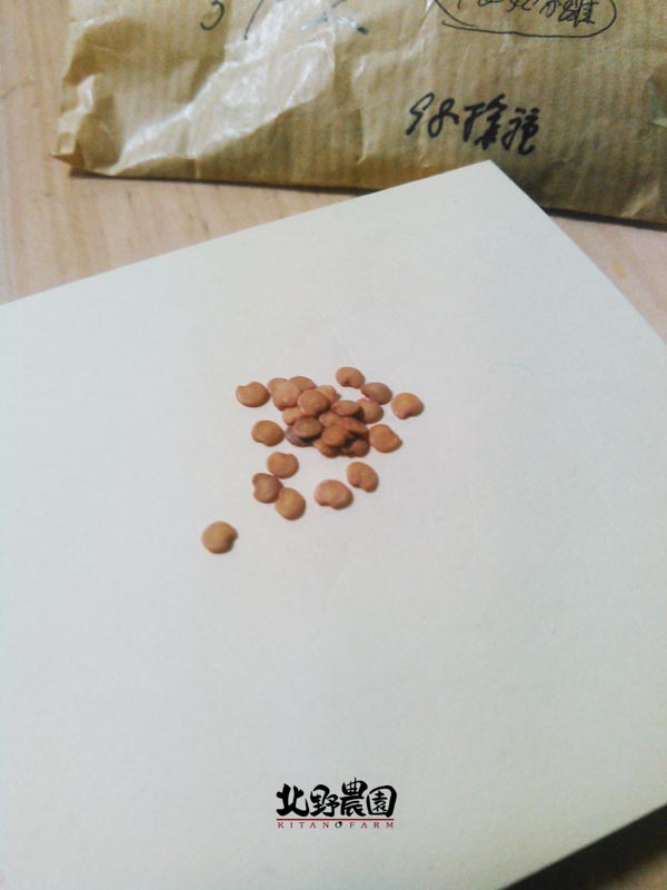 KIMG5108