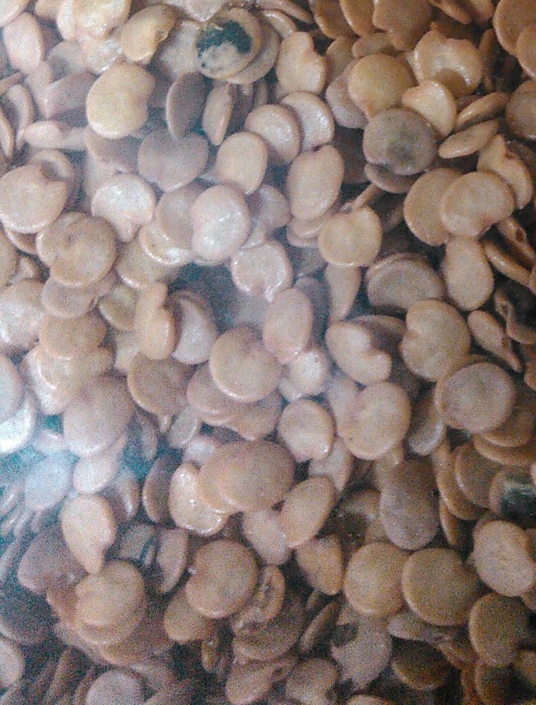 kimg0001