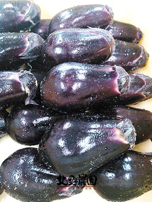 kitanofarm
