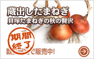 蔵出し極早生玉ねぎ