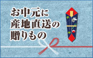 お中元に水なす(水ナス)