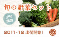 旬の野菜セット