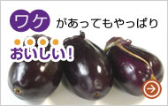 ワケあり水なす