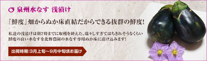 泉州水なす浅漬け