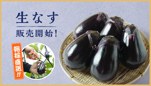 生水ナス